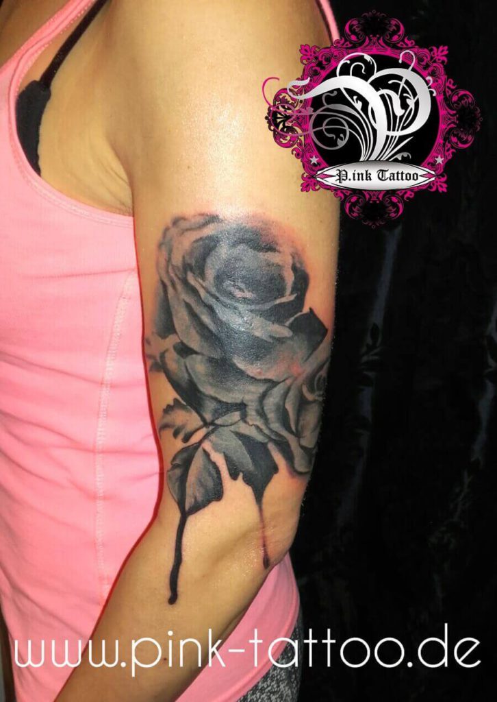 Cover Up Rose