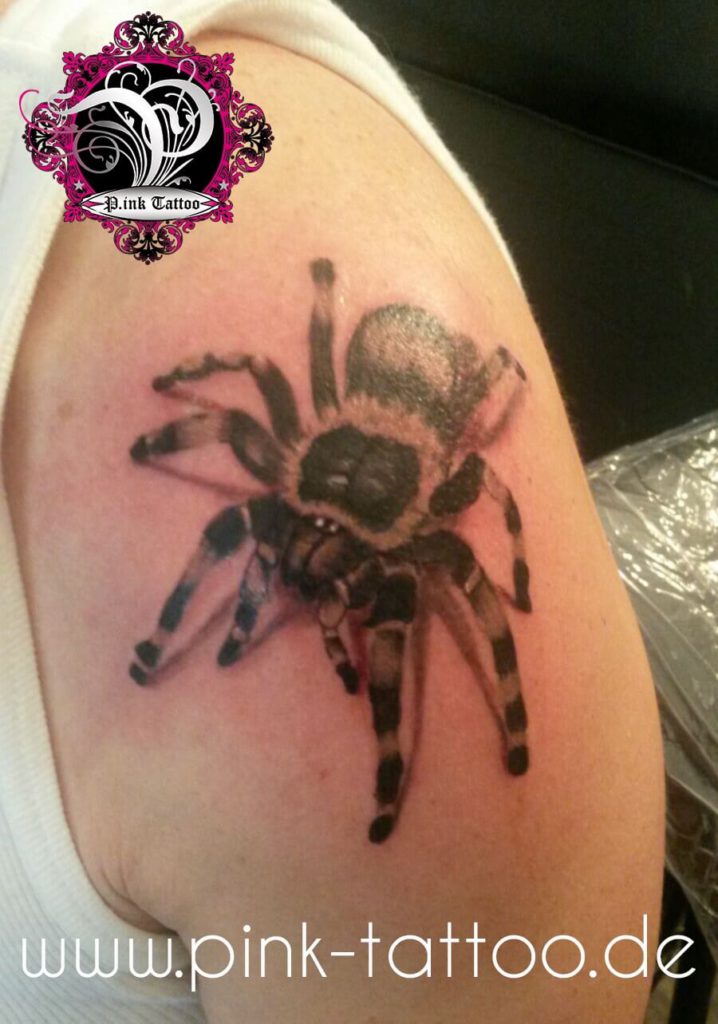 Tarantula Spinne