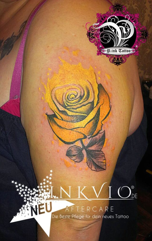 Color Rose